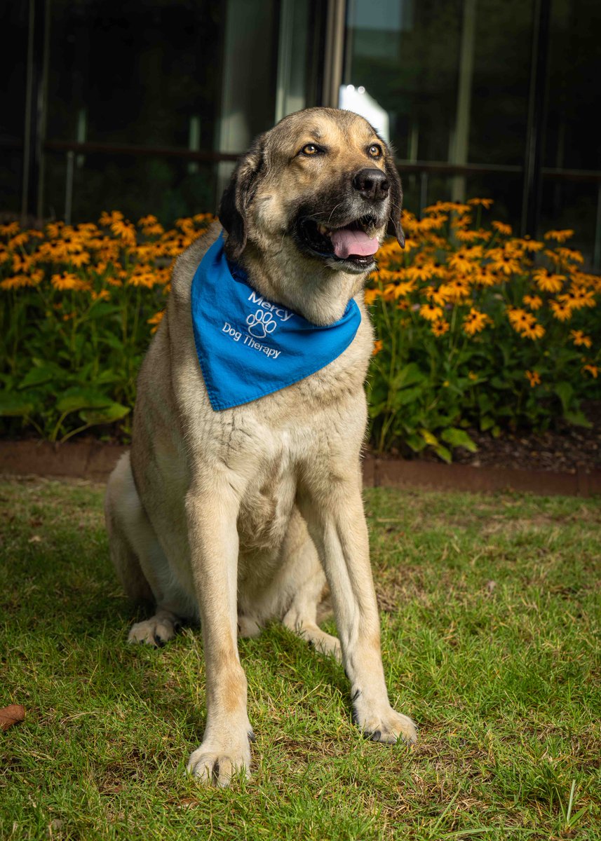 MercyNWA tweet media