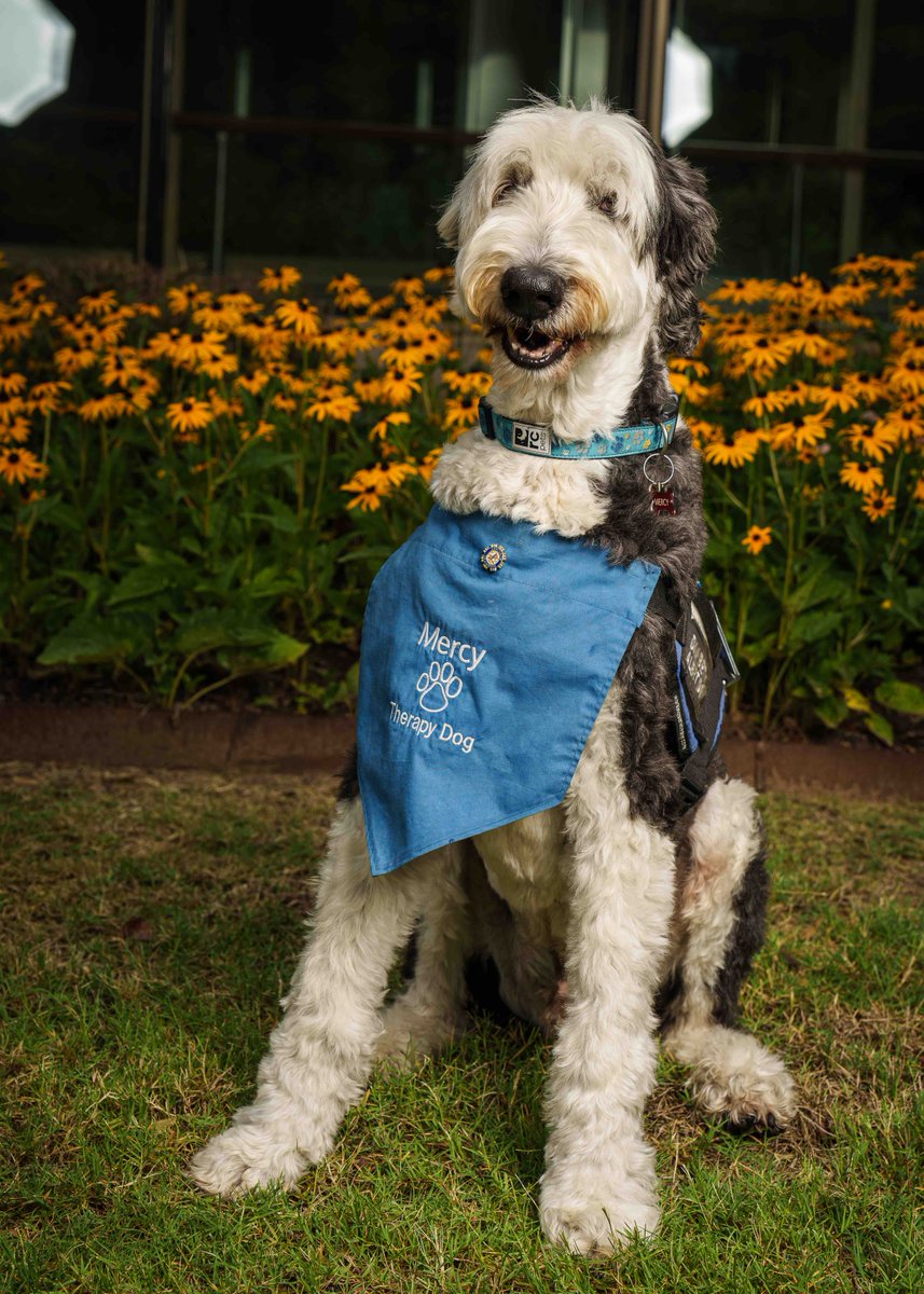 MercyNWA tweet media