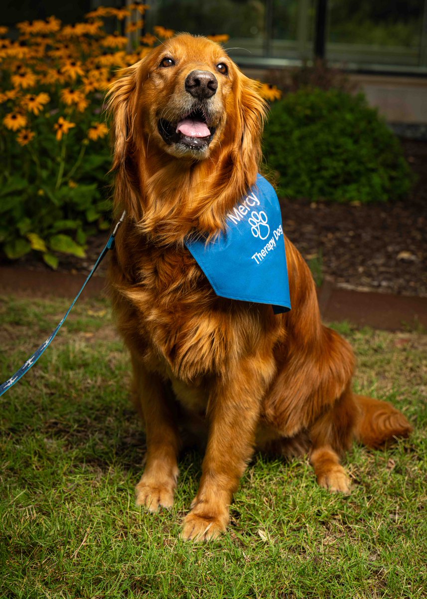 MercyNWA tweet media