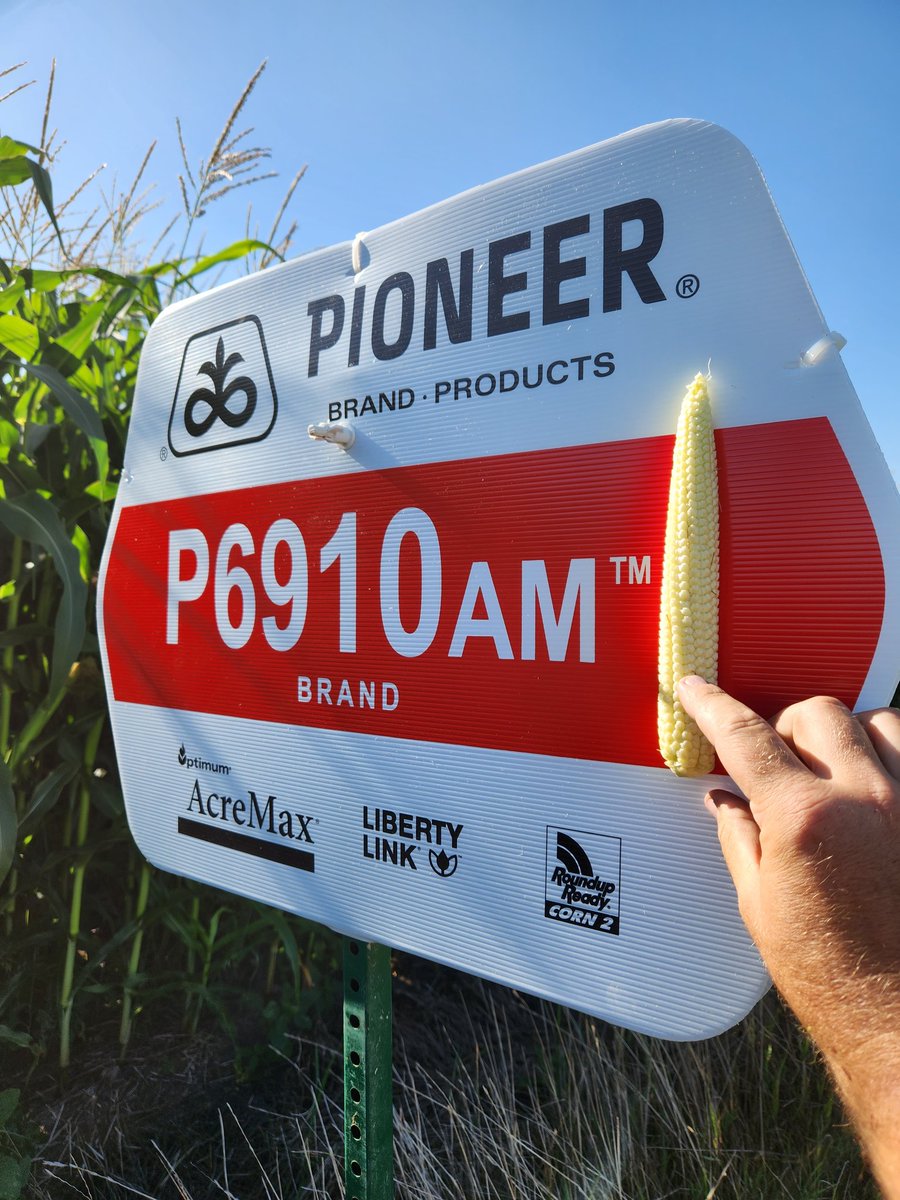 David Boerchers tweet media