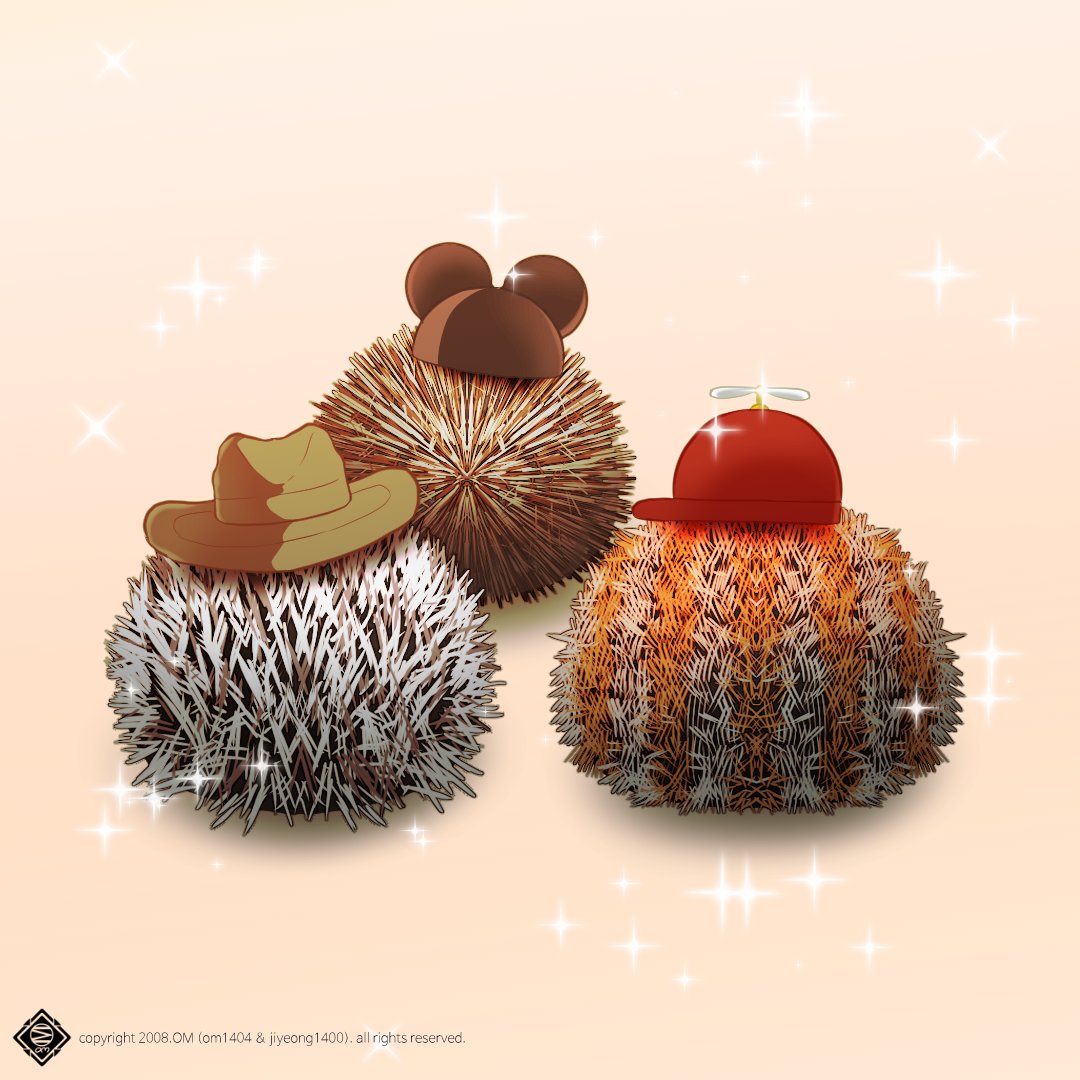 om_8864's tweet image. 모자 쓴 성게들 :/ #성게 #모자 #cute