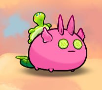 Hoy, en #entreelcieloyelinfierno Sortearemos un axie con una tortuga en la espalda...

Entrad al directo twitch.tv/brisa_bit
- Seguir a <a href="/brisa_bit/">Brisa 🎀 | KIND</a> 
- Seguirme <a href="/MaZe_ca/">MaZe</a> 

Os esperamos en el chat!!!

#AxieOrigins #AxieCreator #teaminfierno