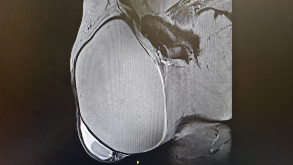 Raúl Sánchez Molina tweet media