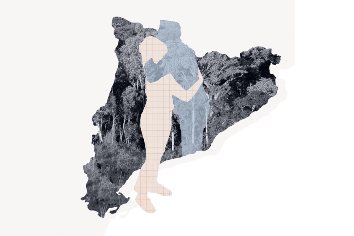 #OPINIÓ | Boscos i canvi climàtic: reptes inajornables per repensar el país directa.cat/boscos-i-canvi… Un article d'Eduard Plana i Mireia Banqué, membres de <a href="/CREAF_ecologia/">CREAF</a>. Amb il·lustració d'Alba Pocurull