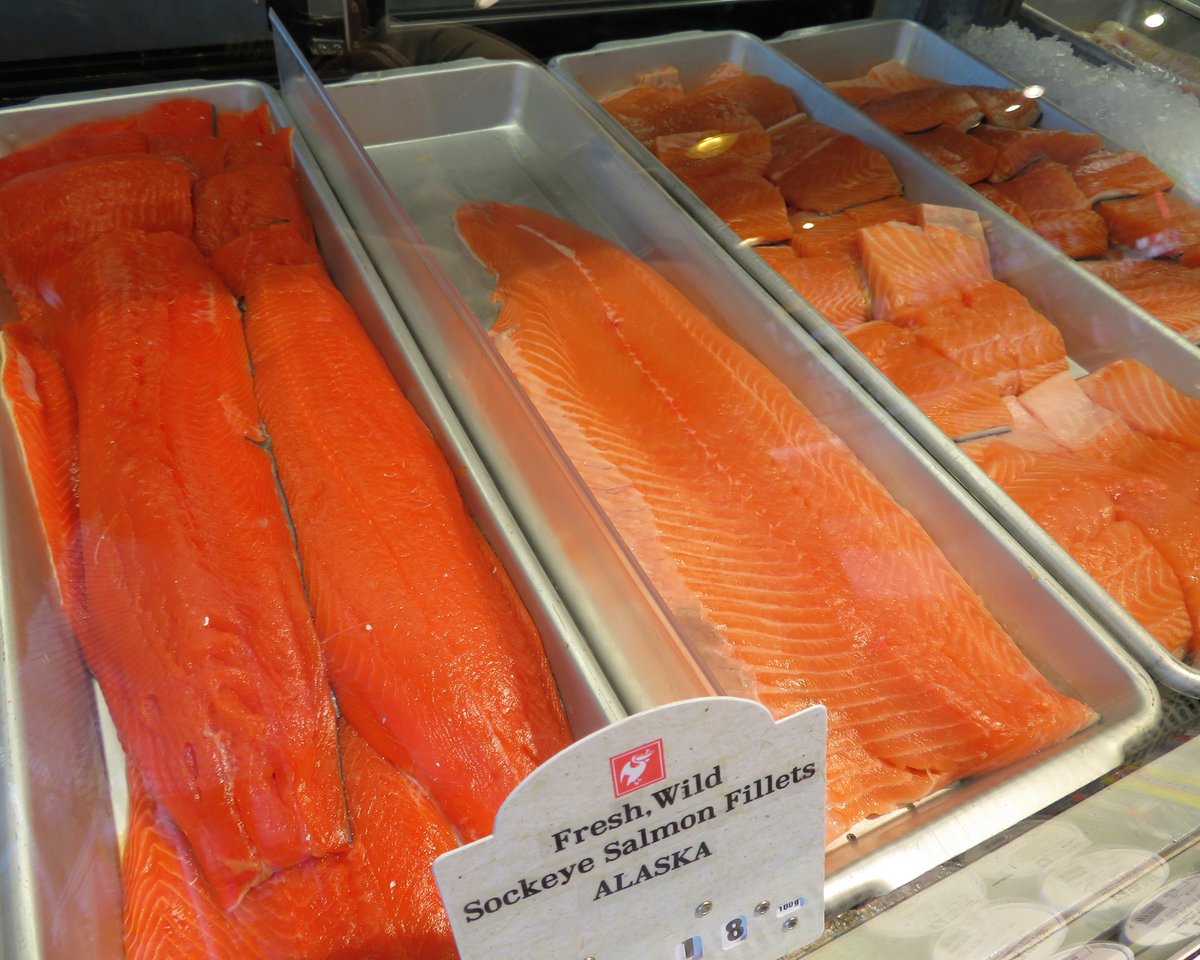 PelicanOttawa's tweet photo. #FishFact: 🎣 Our first wild Sockeyes of the season come from the Copper River.
Why are Copper River salmon so unique? These Alaskan salmon swim 300 miles upriver yearly! For the journey, Copper River salmon store extra fat, energy and omega-3s, enhancing their flavour. https://t.co/PBAK3J0BeH