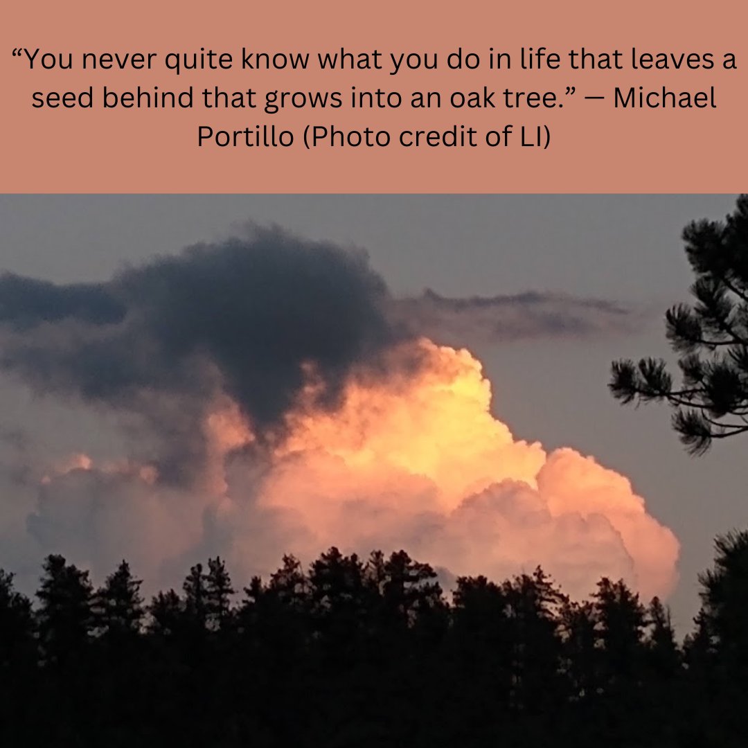 A lot of what peers are able to do are "planting seeds"; the joy is to see those seeds grow to their full potential
#inspirationalquotes #wedorecvoer #recovertogether #serenityrecoveryconnection #backtonature #Coloradostrong