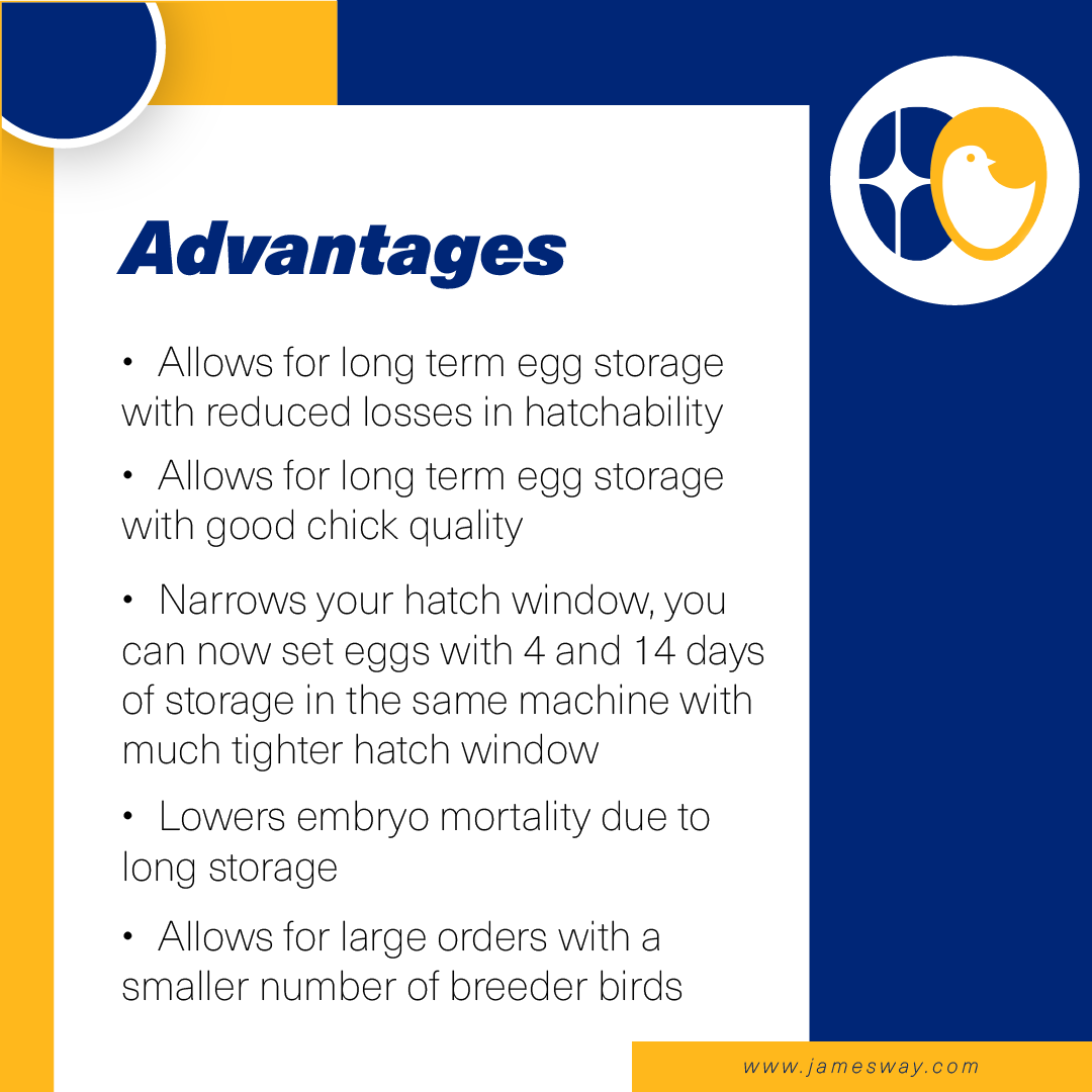 ChickMasterMKT's tweet photo. Check out the advantages and disadvantages of SPIDES (Short Period Incubation During Egg Storage)!

https://t.co/2BnHy8yVej 

📧 Email: sales@jamesway.com
☎️ Sales: +1 519-624-4646
📞 PRT 24/7 Service: +1 (226) 765-0210
Don't forget to follow us at @Jameswayinc https://t.co/0y7UZrkVx5