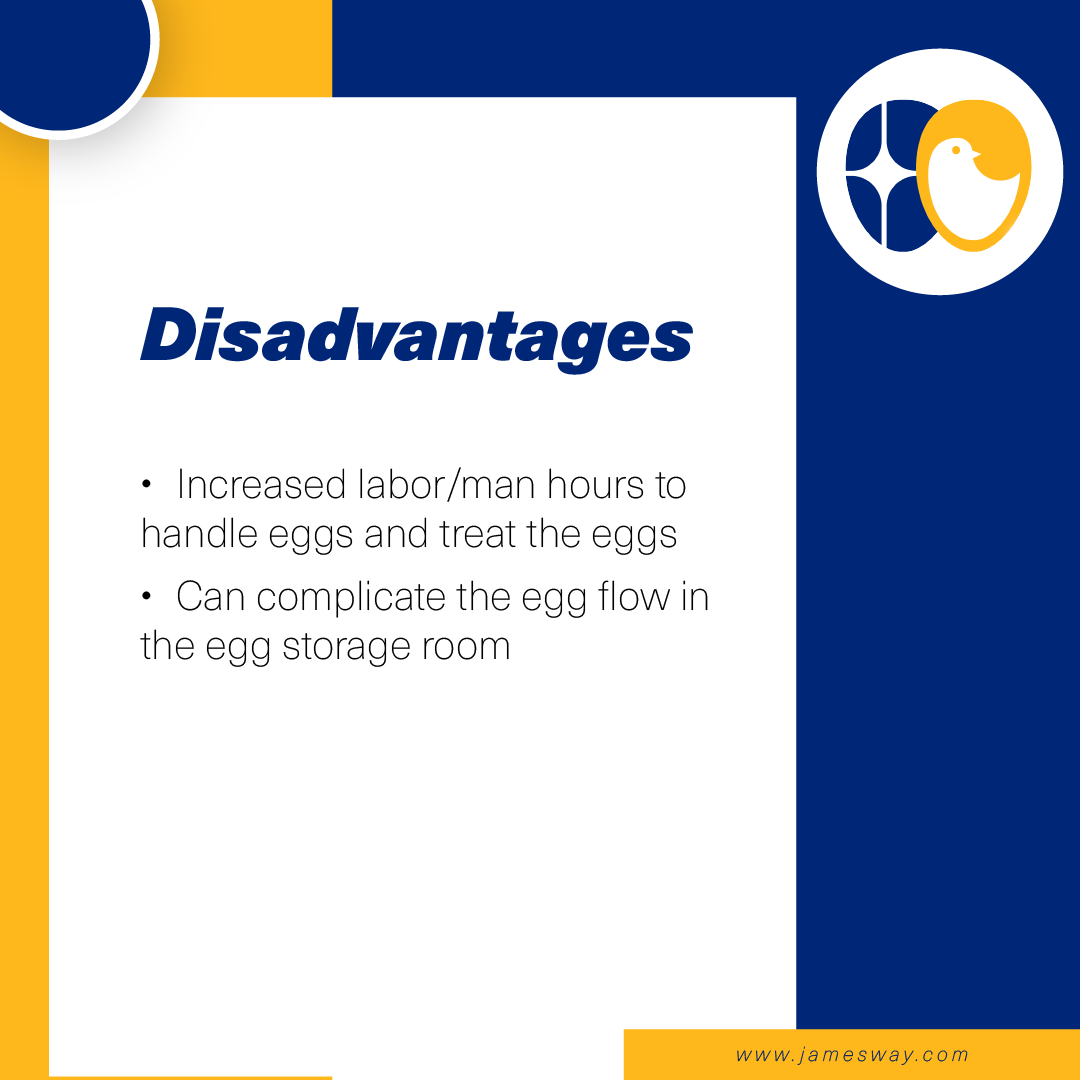 ChickMasterMKT's tweet photo. Check out the advantages and disadvantages of SPIDES (Short Period Incubation During Egg Storage)!

https://t.co/2BnHy8yVej 

📧 Email: sales@jamesway.com
☎️ Sales: +1 519-624-4646
📞 PRT 24/7 Service: +1 (226) 765-0210
Don't forget to follow us at @Jameswayinc https://t.co/0y7UZrkVx5