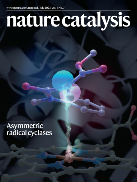 Yang Yang (@yang2biocat) on Twitter photo We thank <a href="/NatureCatalysis/">Nature Catalysis</a> for featuring our radical cyclases on the cover of their July 2023 issue! <a href="/pengliu_group/">Peng Liu Group</a> We thank <a href="/NatureCatalysis/">Nature Catalysis</a> for featuring our radical cyclases on the cover of their July 2023 issue! <a href="/pengliu_group/">Peng Liu Group</a>
