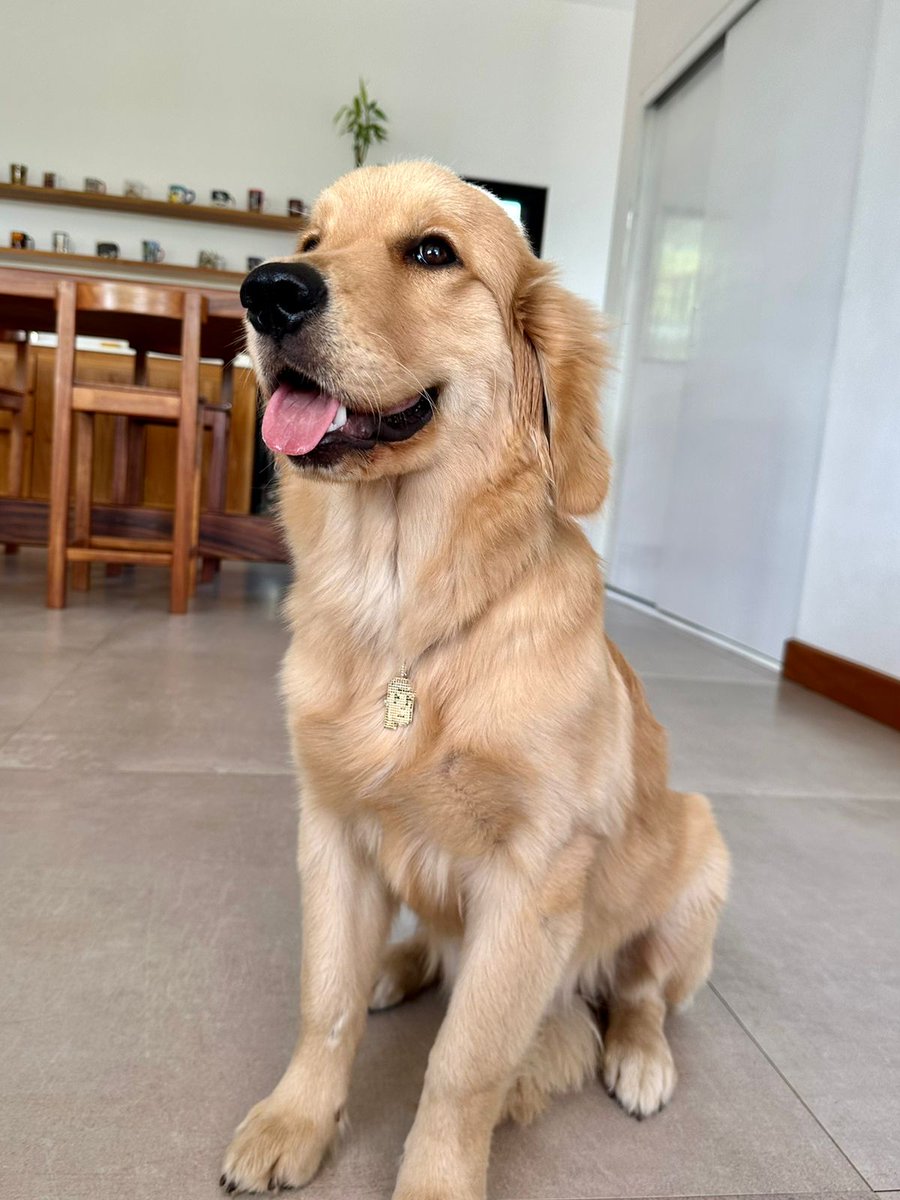 All roads lead to @cryptopunksnfts