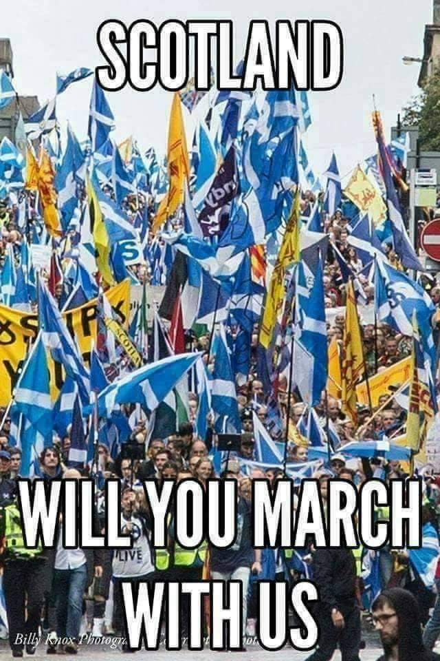 AUOBNOW's tweet photo. THIS SATURDAY MAKE SURE TO ATTEND THE NATIONAL DEMONSTRATION FOR SELF DETERMINATION 🏴 https://t.co/9DT3q598LM