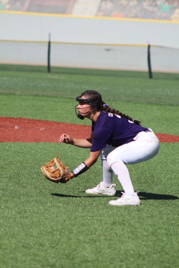 Peyton Cusack tweet media