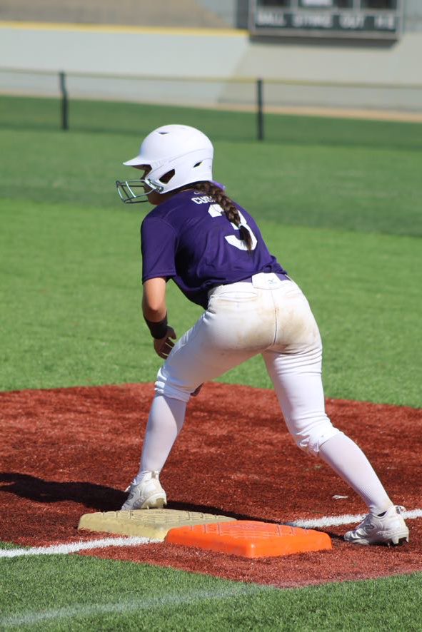 Peyton Cusack tweet media