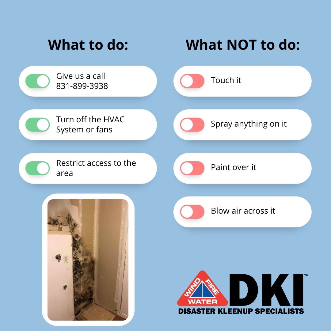 DisasterKleen's tweet photo. Think you may have found microbial growth in your home?

What to do:
📞Give us a call!
💨Turn off the HVAC system or fans
🔒Restrict access to the area

What not to do:
❌👆Don't touch it!
❌💦Don't spray it with anything
❌🖌Don't paint over it
❌💨Don't blow air across it https://t.co/2np4WIXlF3