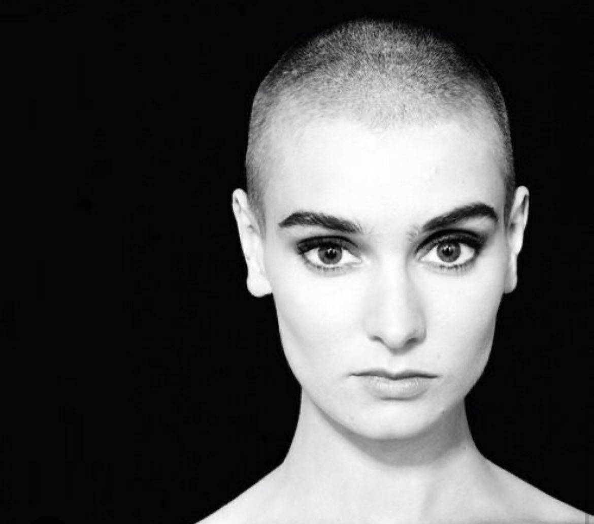 Phoebe Reith tweet media