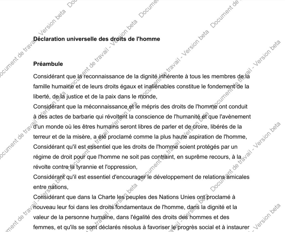 Alexis Kauffmann tweet media