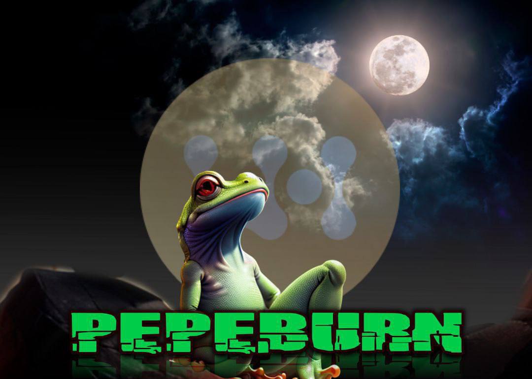 PepeBurnproject's tweet photo. 😶‍🌫️😶‍🌫️ Quiet and peaceful watching 
my home. 🌕🚀🚀

You can choose to go to the moon with me, or cry afterwards, you choose. 🎉🎉😎😎

#PEPEBURN #BSCGemsAlert #SHIB #LovelyInuFinance #Bitcoin #XRPUSDT #1000xgem #eth #bnb https://t.co/XW4kNa1QvS