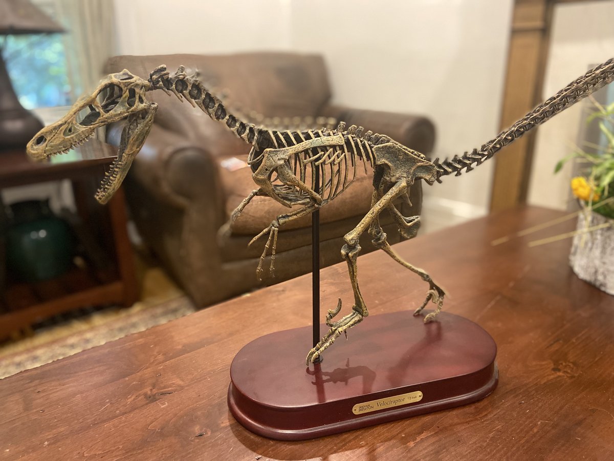 Christopher Bretz tweet media