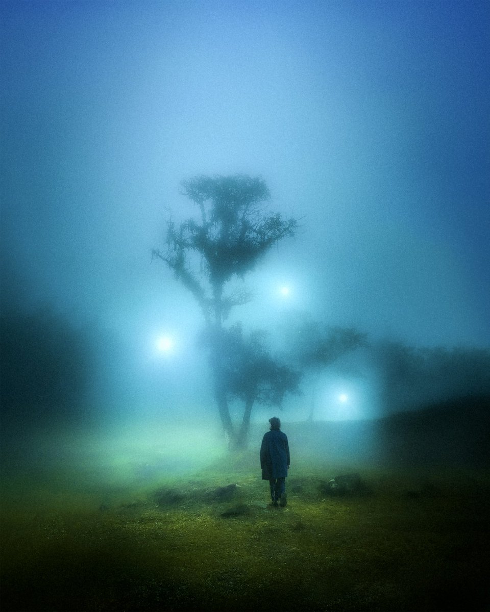 Adso Piñerúa tweet media