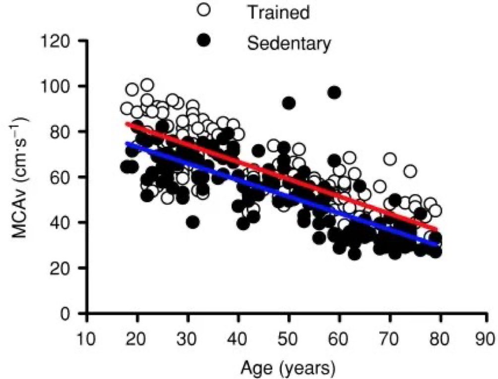 🧠 LA EDAD DE TU CEREBRO DEPENDE DE SI HACES EJERCICIO 

🫡Las personas que hacen ejercicio aeróbico habitual son 10 años más jóvenes a nivel de salud cerebral que los que son sedentarios y tienen la misma edad.

⏳ Entrenar es la única inversión de tiempo que te permite ganar