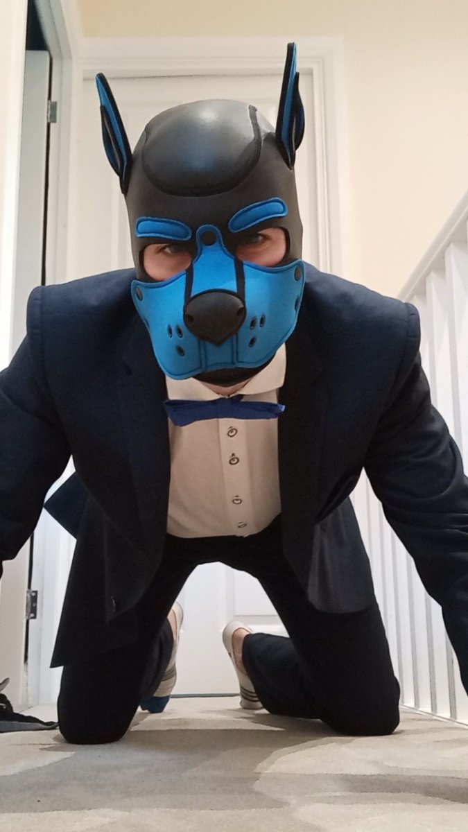 PupTheSage's tweet photo. @hornypupxxx Wruff ♥️ https://t.co/NWO3a3ZqRK