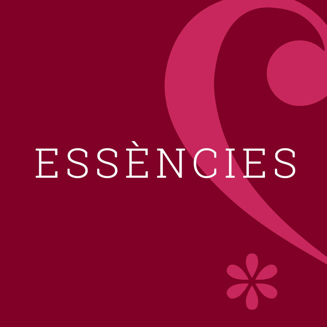 Associació Lieder Càmera tweet media