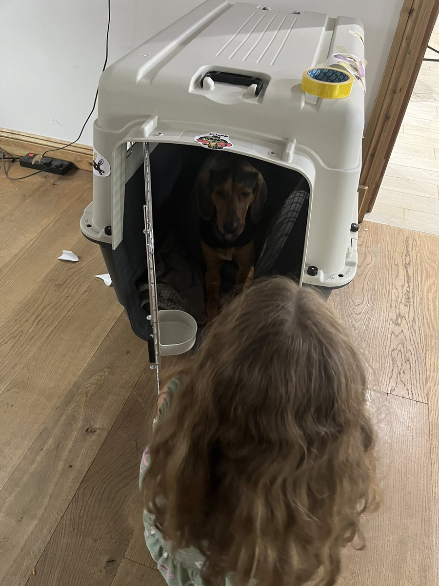 Clementine Stewart tweet media