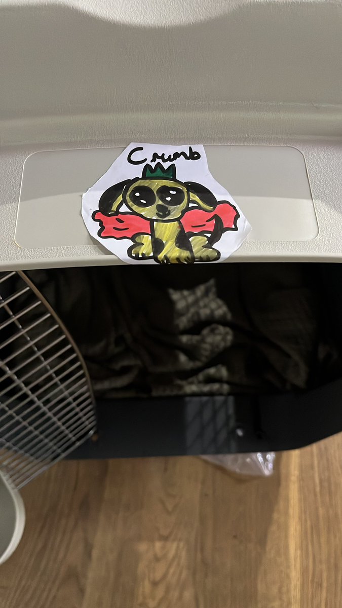 Clementine Stewart tweet media