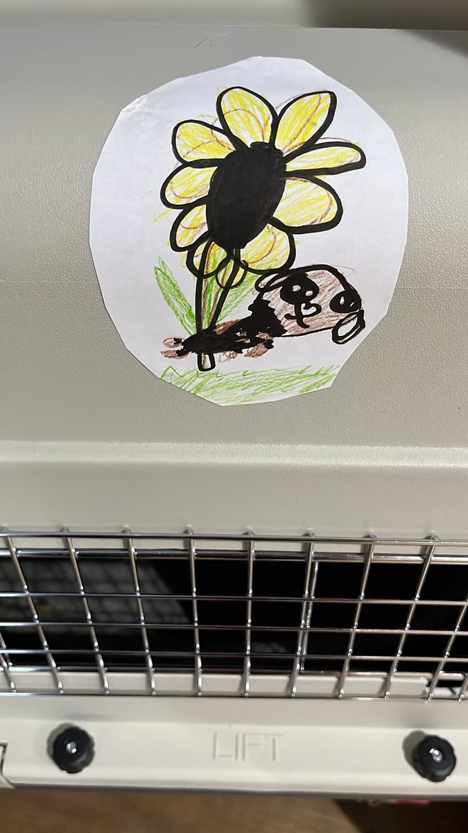 Clementine Stewart tweet media