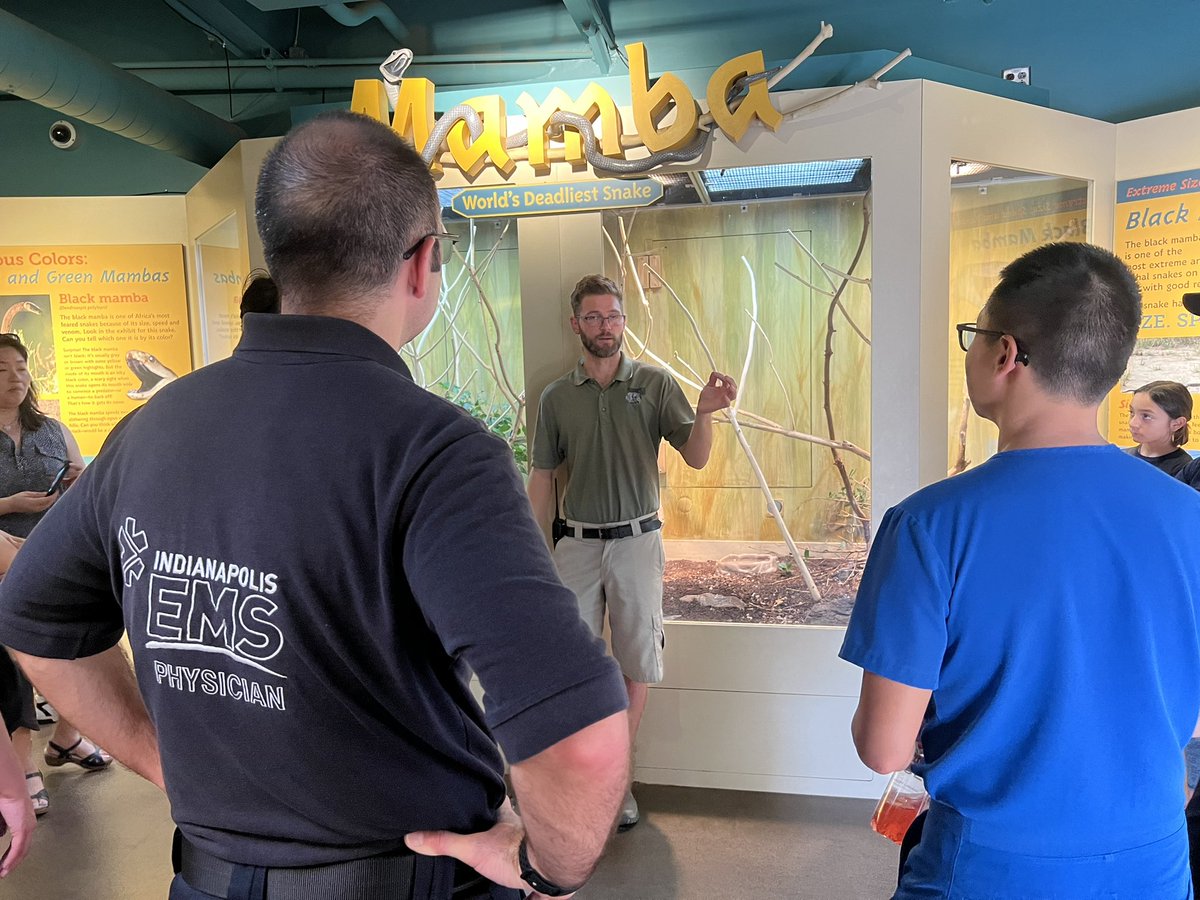 Our fellows are out with the @IUSMEmergMed <a href="/IndianaPoison/">Indiana Poison Center</a> @toxindiana Toxicologists to meet some venomous 🐍, lead by the awesome <a href="/IndianapolisZoo/">Indianapolis Zoo</a> experts