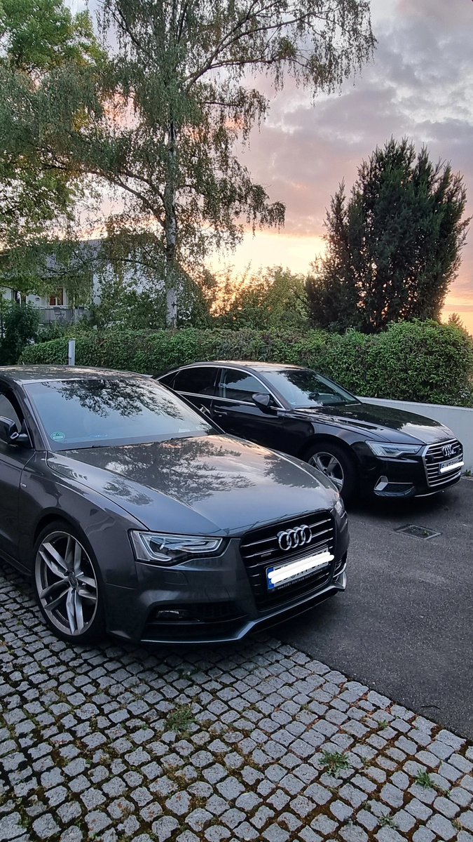 OG_Bero's tweet image. Meine bby's❤️  Gibt es was geileres?