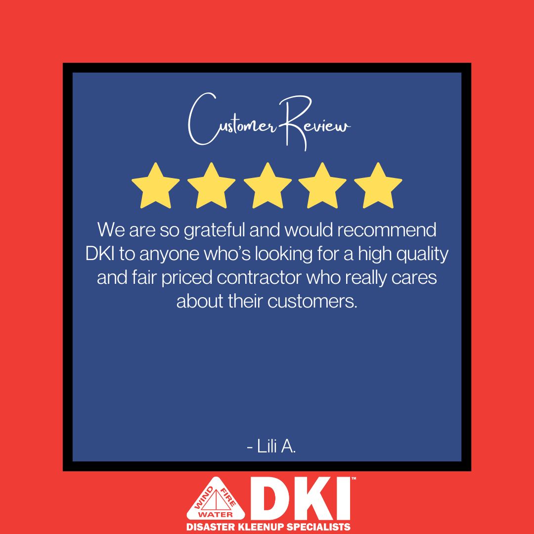 DisasterKleen's tweet photo. Thank you for your kind review, Lili! We appreciate it! ⭐⭐⭐⭐⭐ https://t.co/wRc8Li1J22