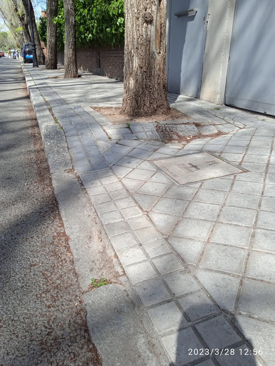 <a href="/TobeaElsa/">Elsa🇵🇸</a> Aki crecen y mira lo k pasa,esto es Aravaca