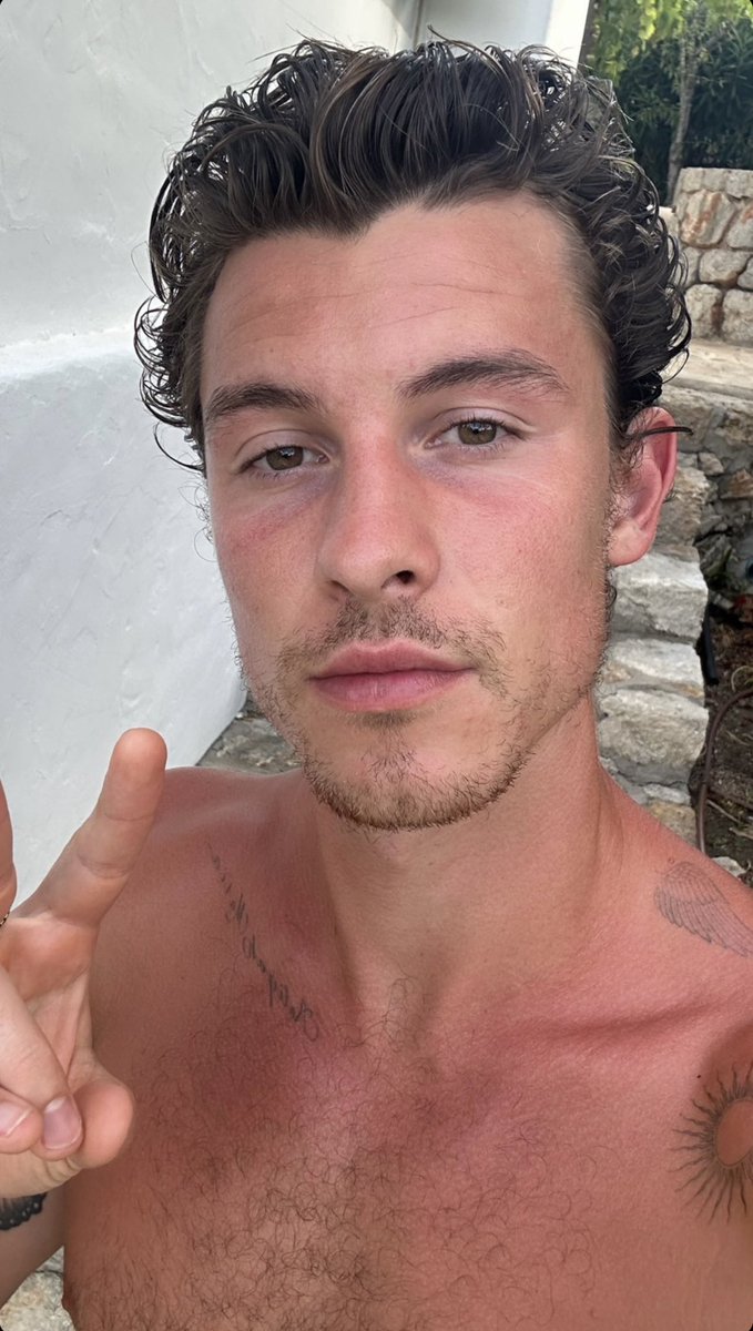 Shawn Mendes Updates tweet media