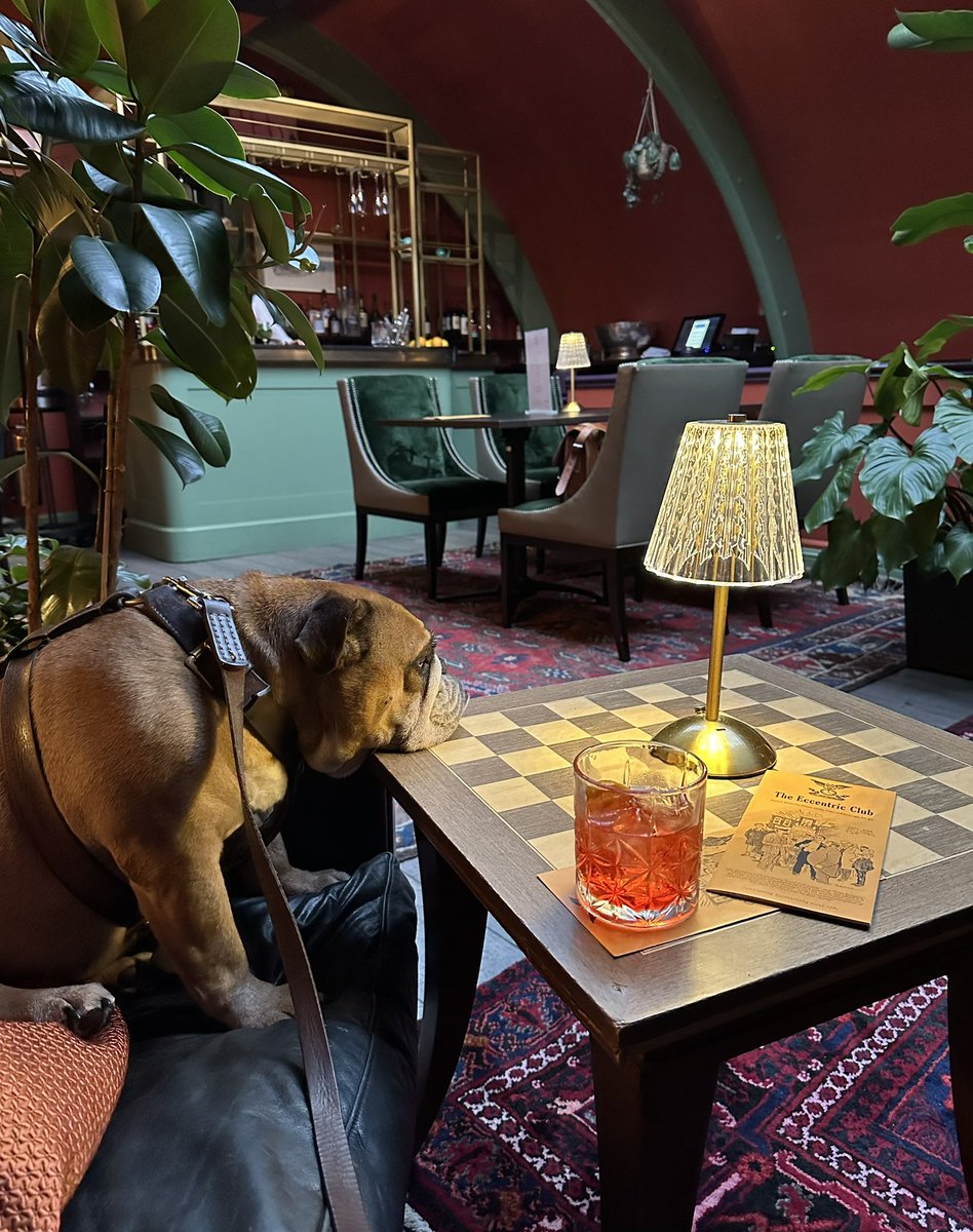 BrianClivaz's tweet photo. Doris chilling at the @Eccentric_Club  drinks reception @LEscargotSoho https://t.co/EMfxf6qVPh