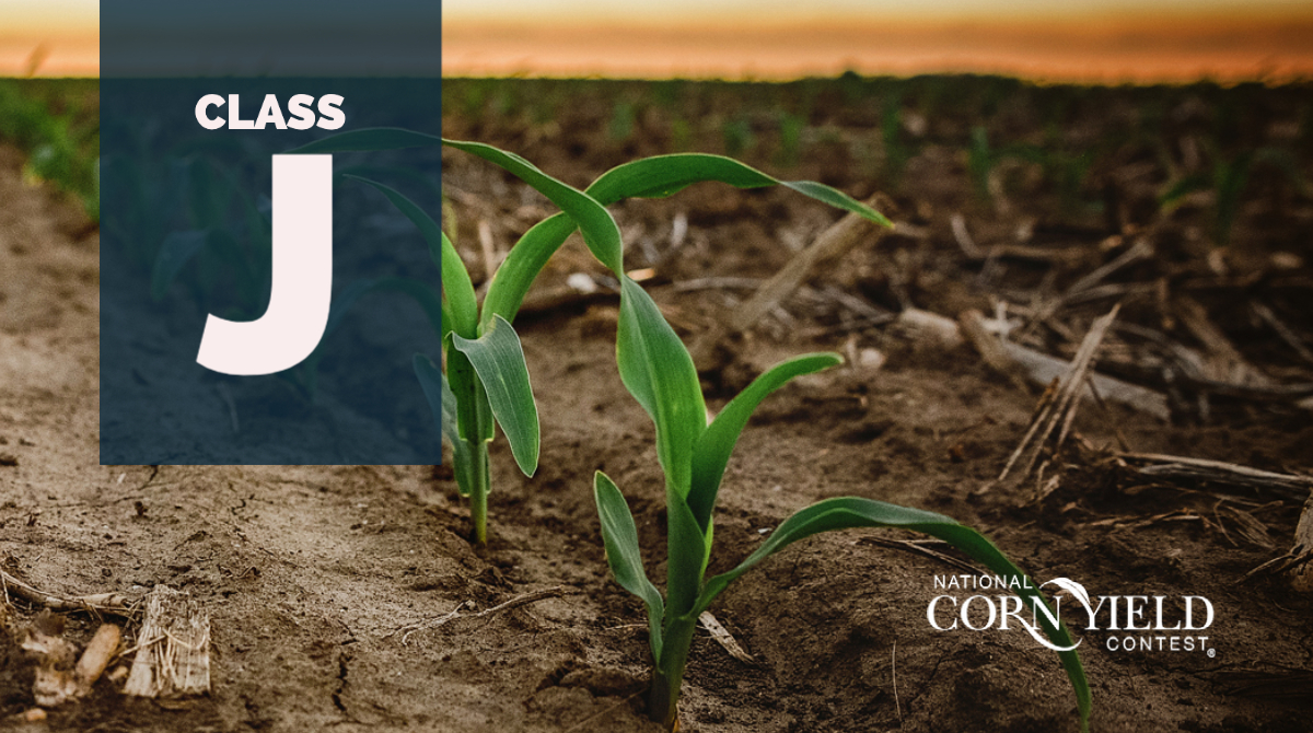 National Corn (NCGA) tweet media