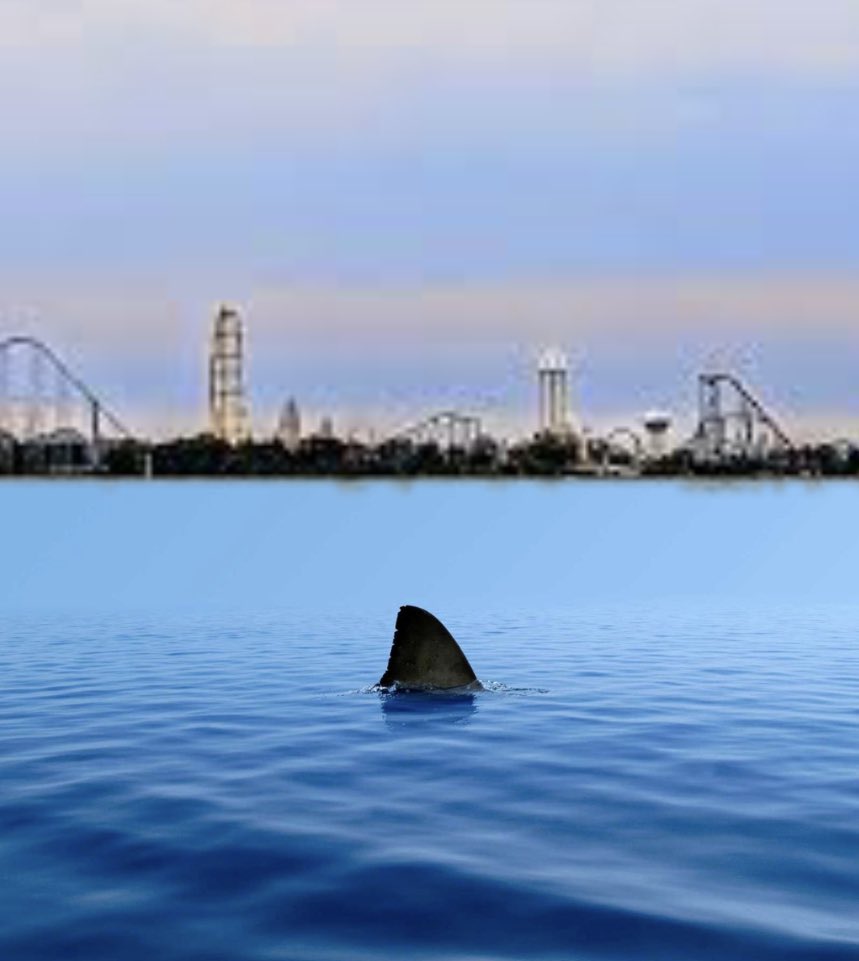 It’s Lake Erie Shark Week. Be careful out there. #huronoh #lakeerie #sharkweek #boatinghuron