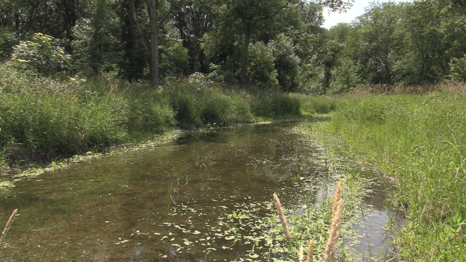 STORY: Oxbow restorations play key role in Iowa nutrient reduction strategy 

<a href="/mAGnuson_IARN/">IARNMark</a> speaks with Brandon Iddings of <a href="/IowaSoybeans/">IowaSoybeans</a> on a farm in Carroll County to find out more about this edge-of-field practice. 

iowaagribusinessradionetwork.com/oxbow-restorat…