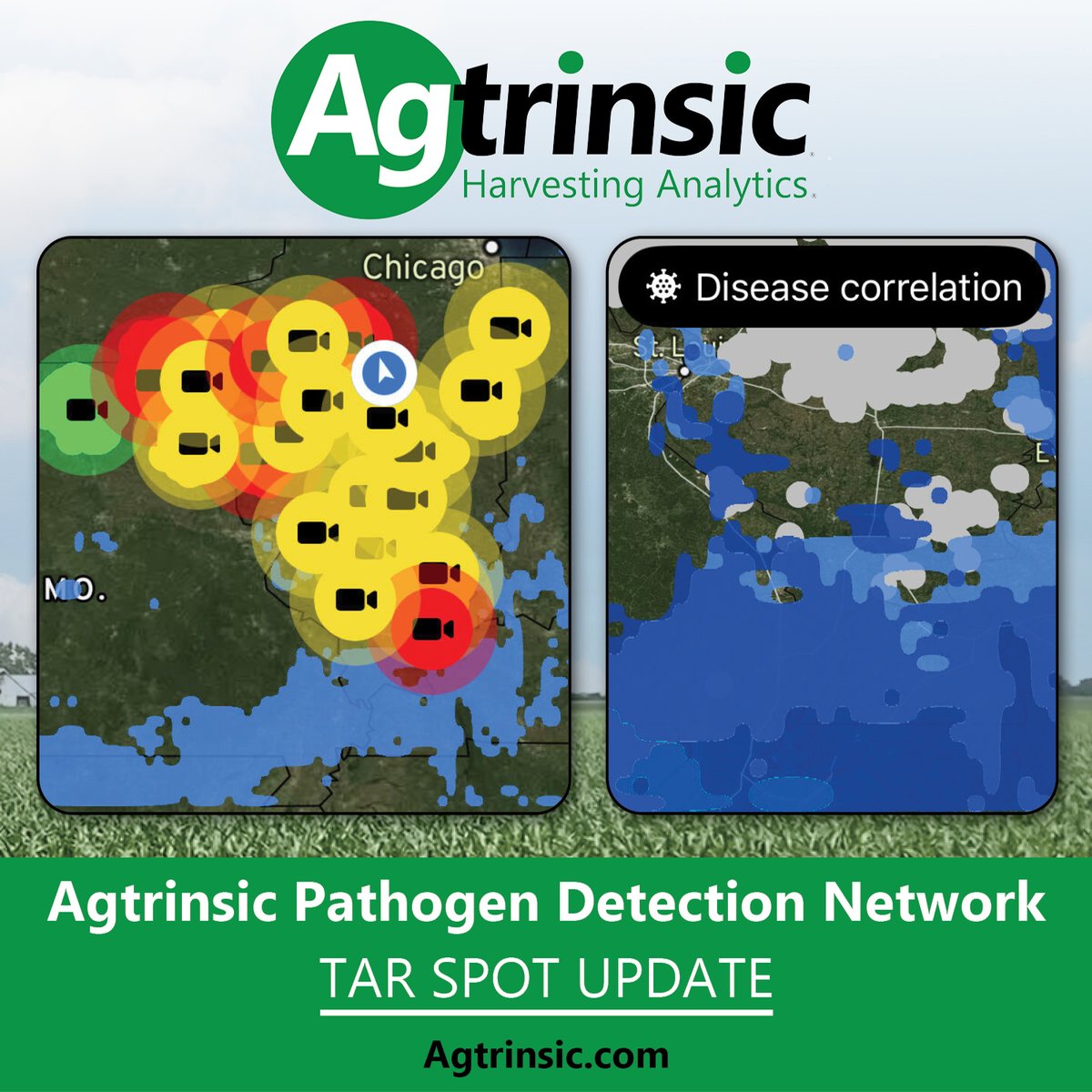 Agtrinsic Pathogen Detection Network is picking up increasing levels of 𝘁𝗮𝗿 𝘀𝗽𝗼𝘁 𝗽𝗮𝘁𝗵𝗼𝗴𝗲𝗻 from Iowa to extreme portions of southern Illinois! Find out more including disease management strategy at bit.ly/43IJb0j. #agriculture #agtech #aginnovation #tarspot