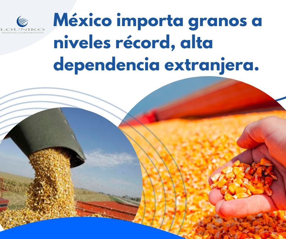 LOUNIKO's tweet photo. Las importaciones de estos insumos a México cerraron el primer semestre del año con volúmenes y valores récord 📊👷‍♂️🌾
Infórmate más:

https://t.co/bEvtDEah8F

#Louniko #Agencia #Tumejoropcion #comercioexterior #aduanas #Veracruz #agenciasaduanales

Siempre con las mejores notas✅ https://t.co/pTLDlOiqeV