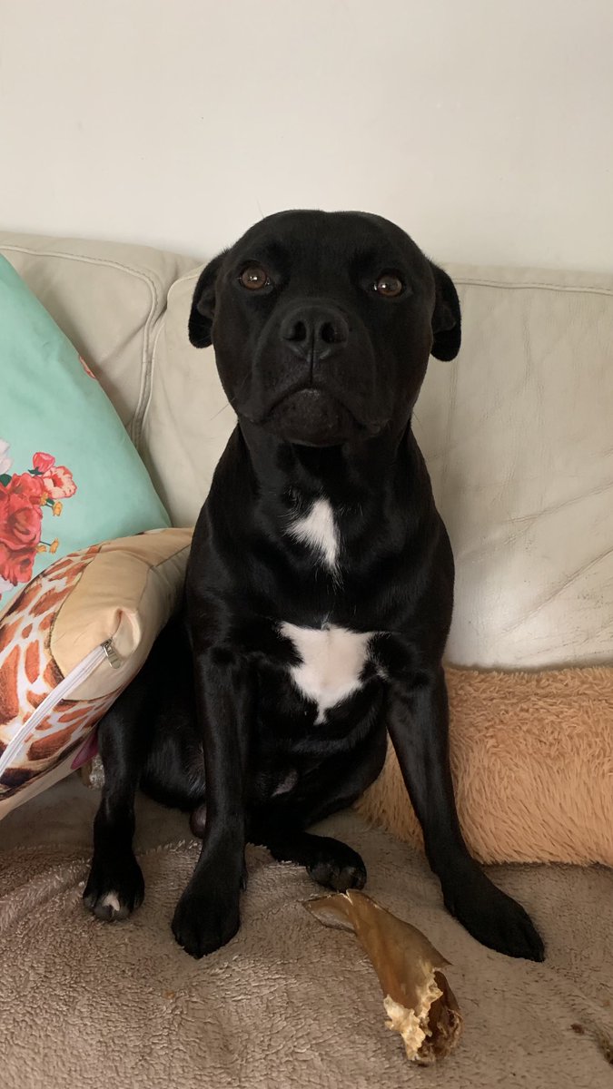 Baby Frank & his teddy, Edward 🧸🏴󠁧󠁢󠁷󠁬󠁳󠁿 tweet media