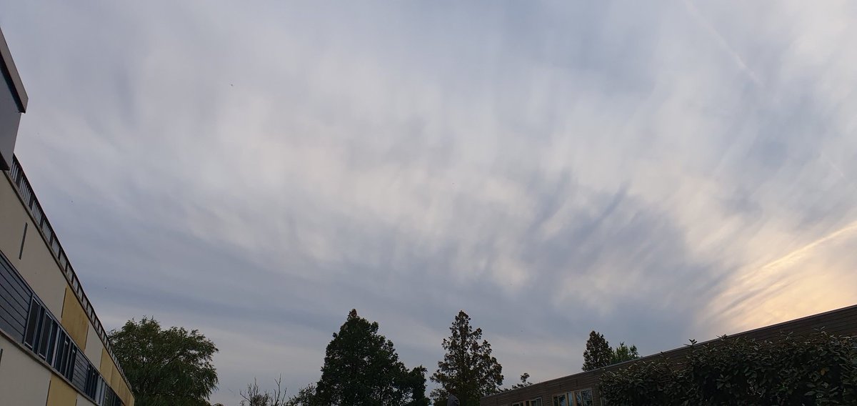 ceesp3's tweet image. Mooie avondlucht #krommenie