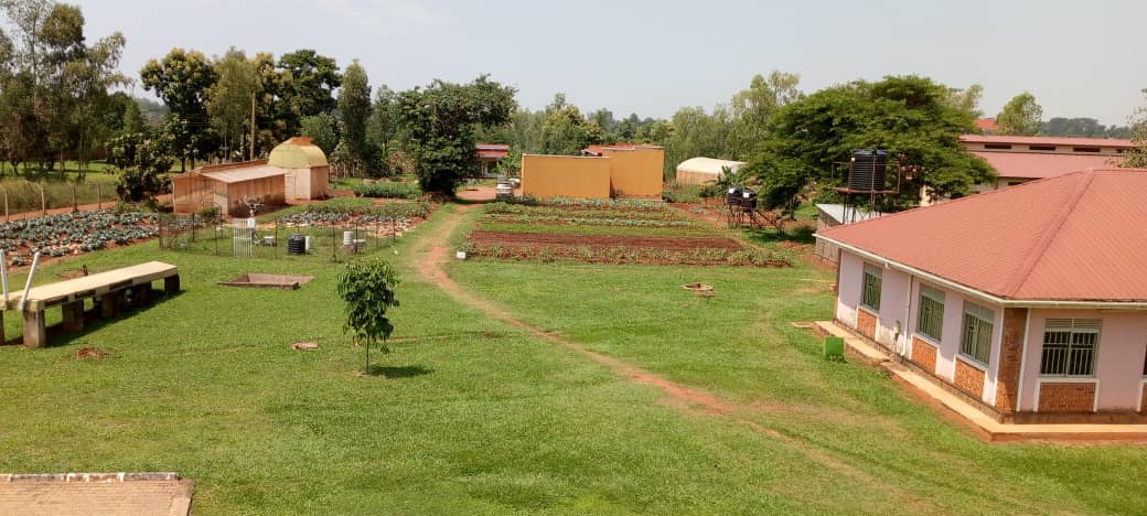 Our team is in Gulu, facilitating market linkages between farmers and exporters of fresh fruitsandvegetables. Yesterday,  we met with the Dean of the Faculty of Agriculture and Environment to discuss horticultural value apprenticeship for university students with our members.
