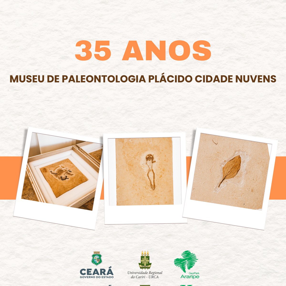 MPPCNURCA's tweet photo. 35 anos da implantação desse importante equipamento para a região do Cariri e para a Paleontologia brasileira.
#mppcn #santanadocariri #fosseis #paleontologia #Dinosaurs #pteros https://t.co/9nCkdmC0aA