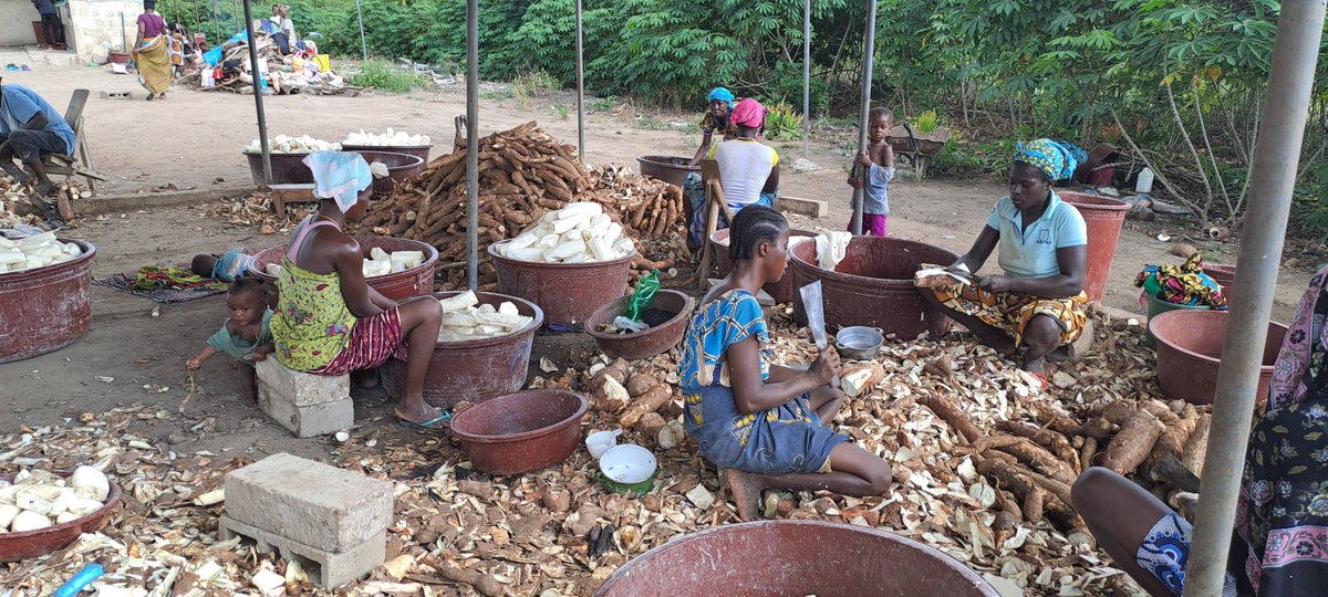 f_attieke's tweet image. Ces deux temps là tout le monde tremble dans pays là on dirait 😂😂

Merveilleuse journée à tous🥳!!
#entrepriseengagee #femmeForte #attieke #fasoattieké #BurkinaFaso