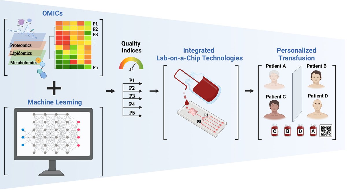 UAGurkan's tweet photo. It is time to rethink red cell health! Thrilled to share our new paper in @PNASNews: Assessment of stored red blood cells through lab-on-a-chip technologies for precision transfusion medicine | PNAS. Collaboration led by @ustaosma of @harvardmed. @cwru 
👉https://t.co/zuj6q91vwW https://t.co/CmkXyKuZuF