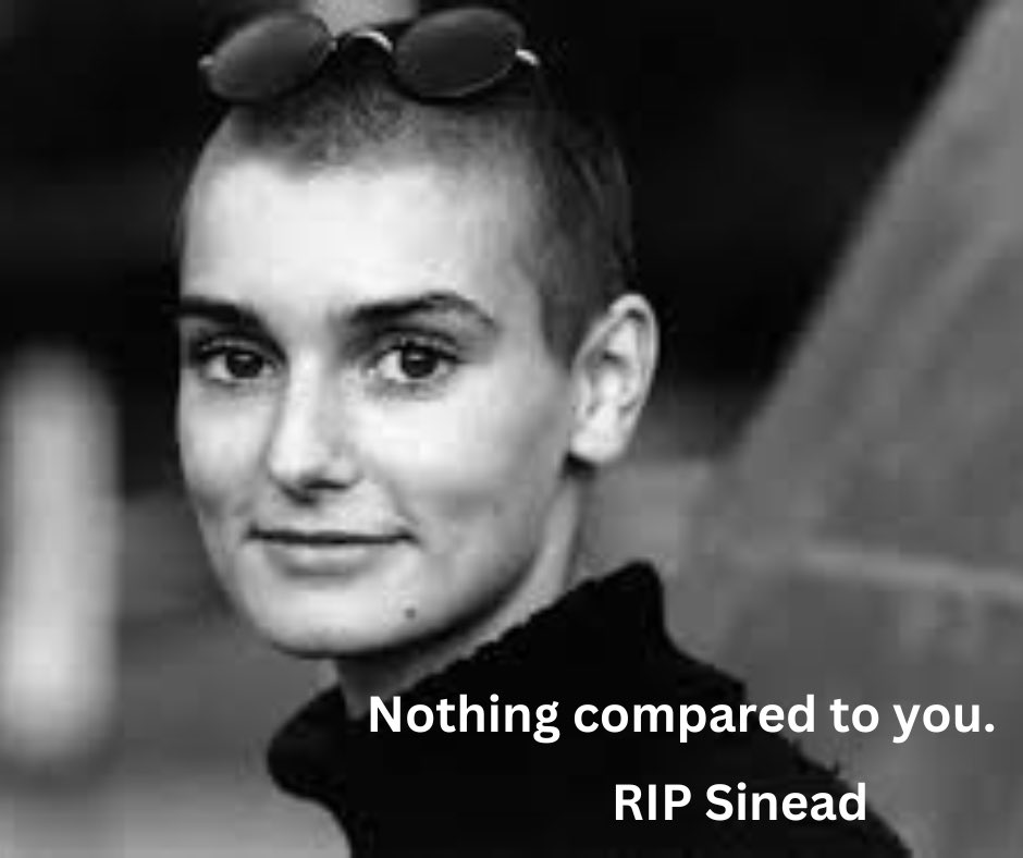 RachelSomers tweet media