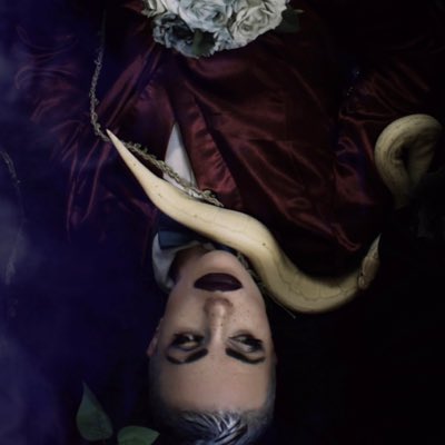 violetgrae's tweet photo. #NewProfilePic https://t.co/ZTGQSGlUyh