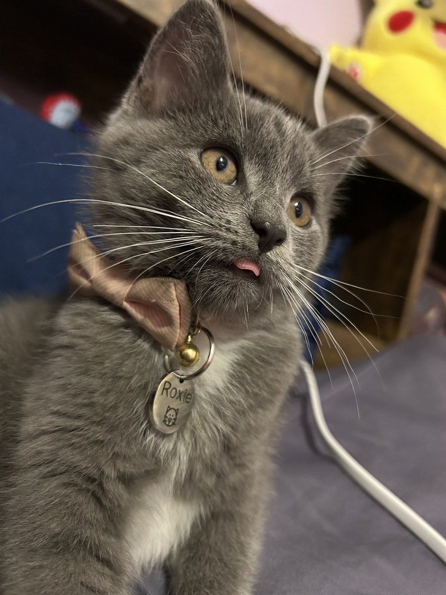 Jerilyn 👩🏻‍🦰 tweet media