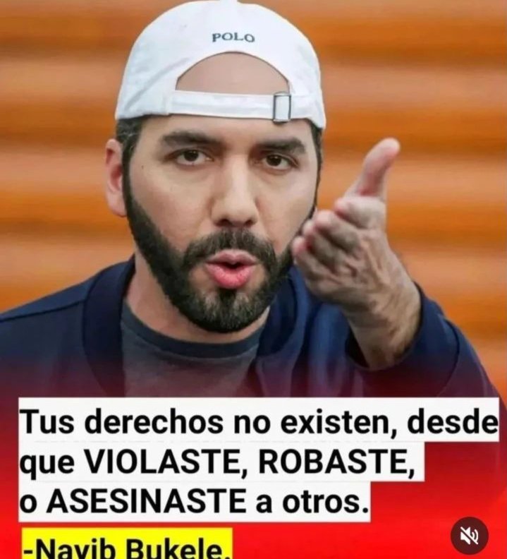 Está de acuerdo,con

Nayib Bukele ?